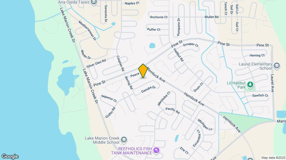 437 Peace Ct Map and Location Details