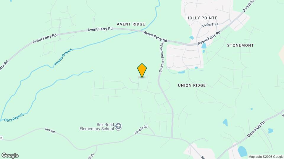 113 Hiddenite Pl Map and Location Details