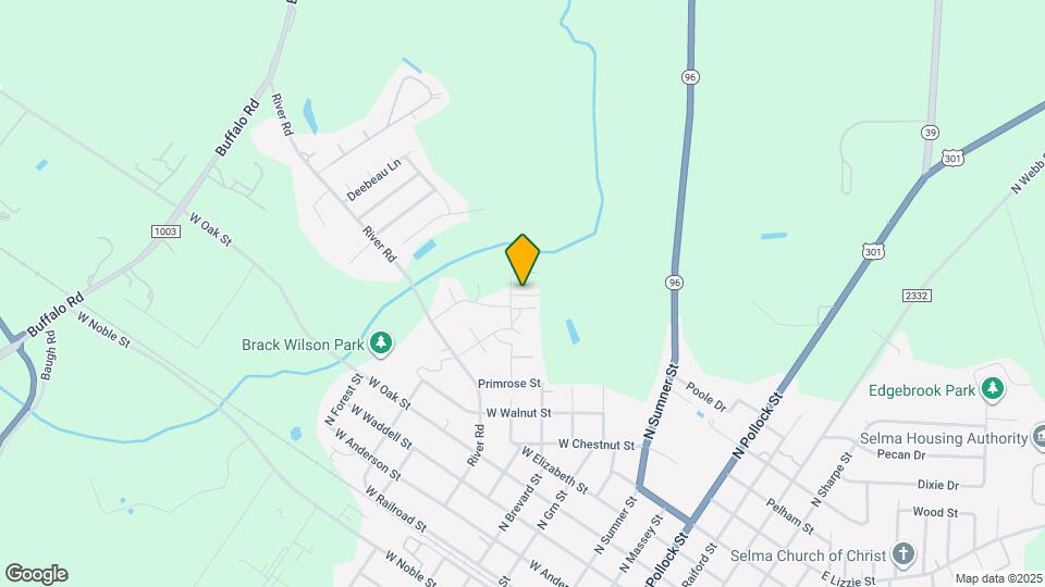 117 Boykin Ave Map and Location Details