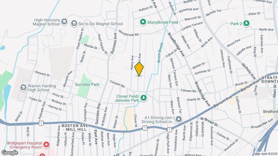 116 Swanson Ave Mapa y Detalles de la Ubicación