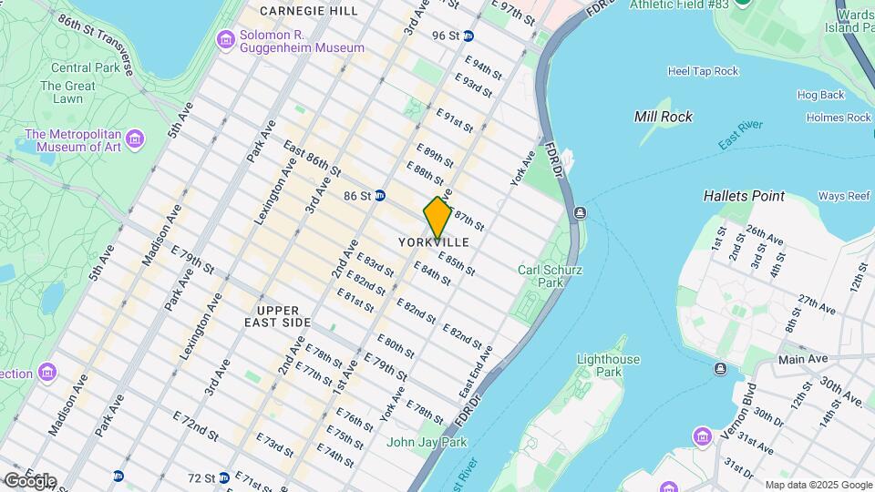 413 E 85th St Mapa y Detalles de la Ubicación
