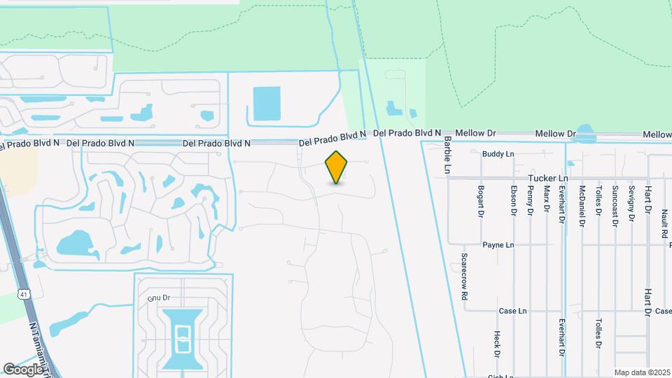 4223 Palatina Way Map and Location Details
