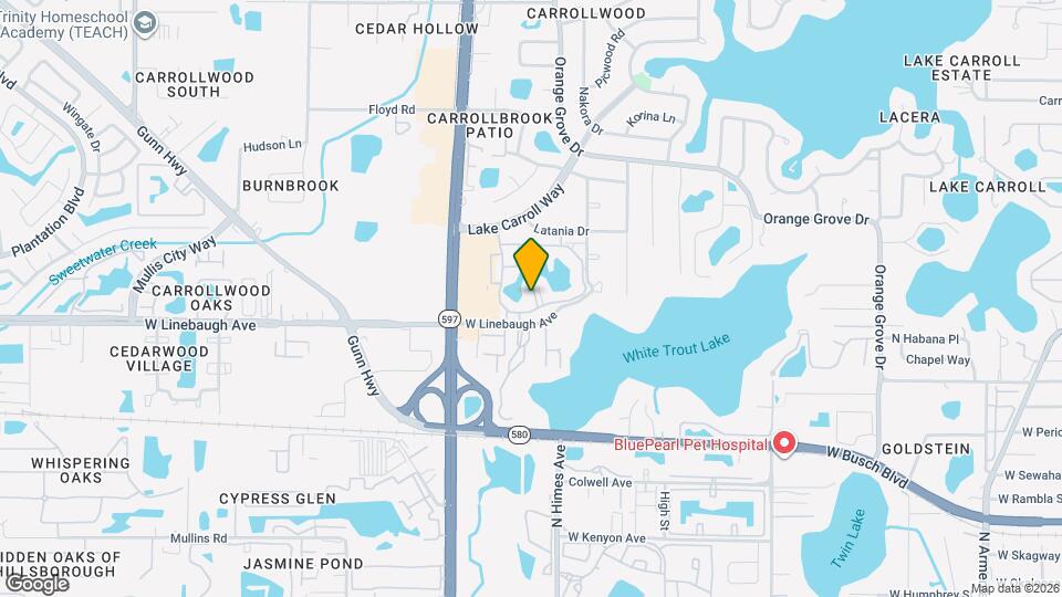 10342 Carrollwood Ln Map and Location Details