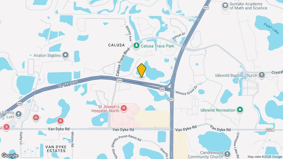 4021 Woodstorks Walk Way Mapa y Detalles de la Ubicación