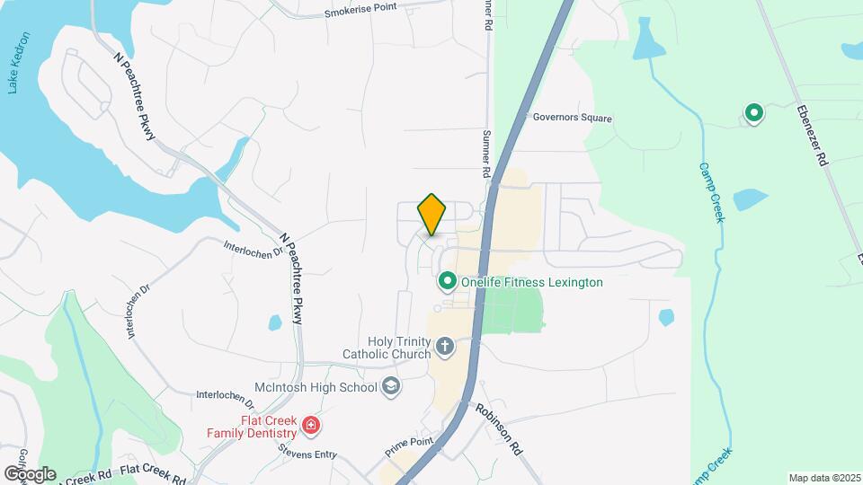 205 Lexington Village Map and Location Details