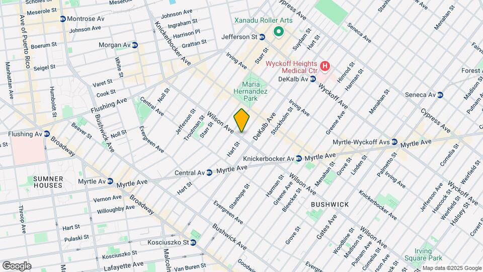 161 Wilson Ave Mapa y Detalles de la Ubicación