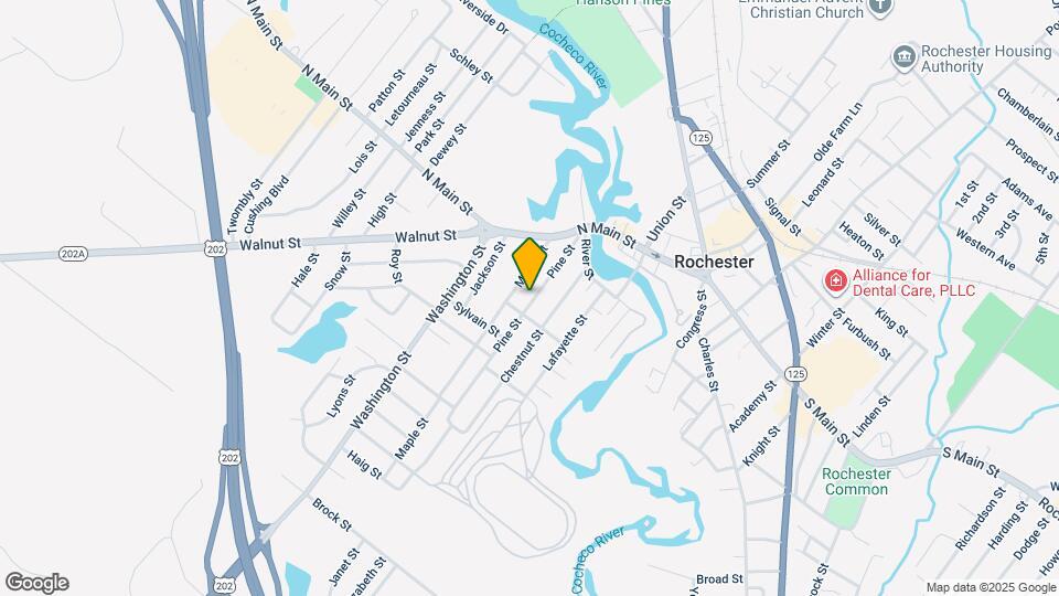 41 Pine St Map and Location Details