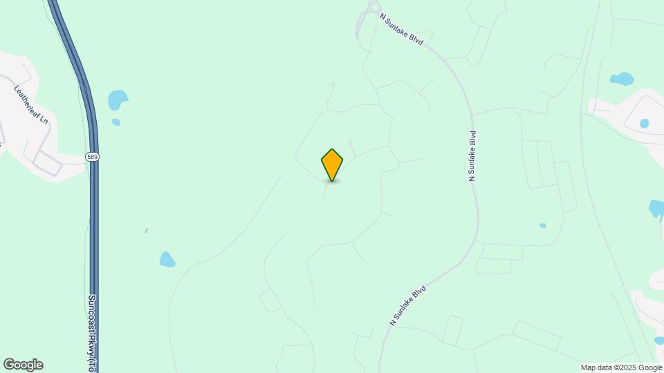 16890 Forge Surf St Mapa y Detalles de la Ubicación