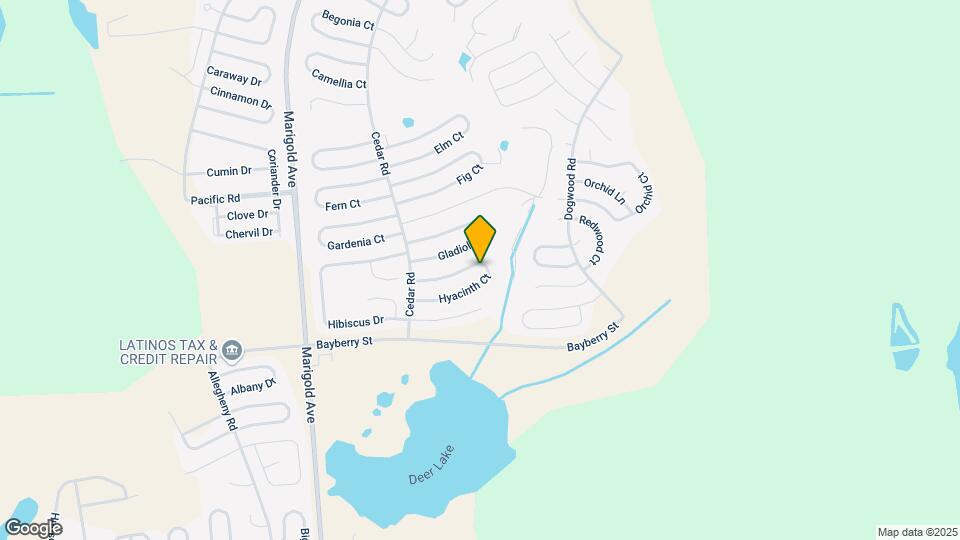 230 Hyacinth Ct Map and Location Details