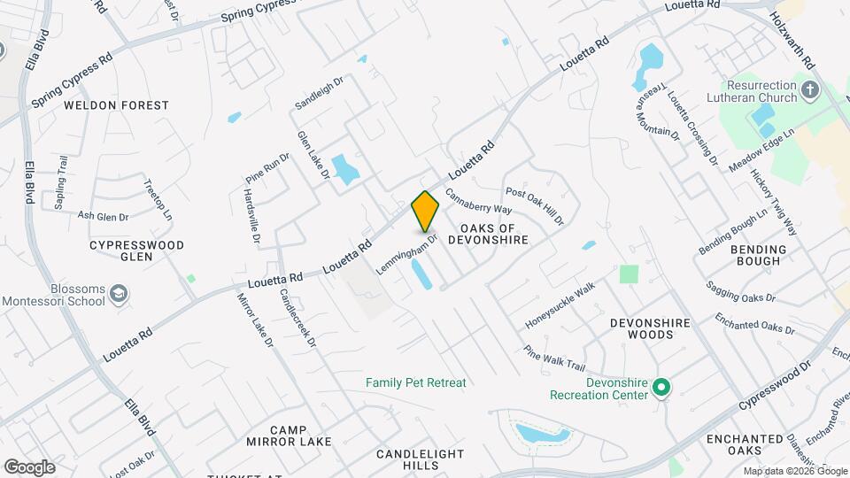 2910 Lemmingham Dr Mapa y Detalles de la Ubicación