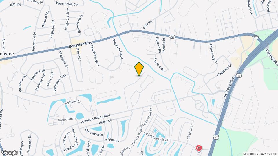 173 Olde Towne Way Mapa y Detalles de la Ubicación