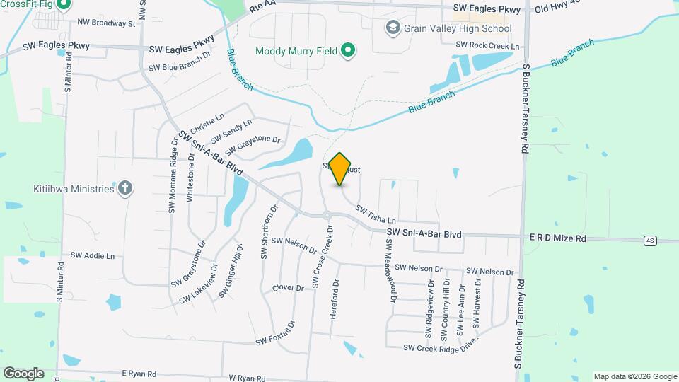 717 SW Tisha Ln Map and Location Details