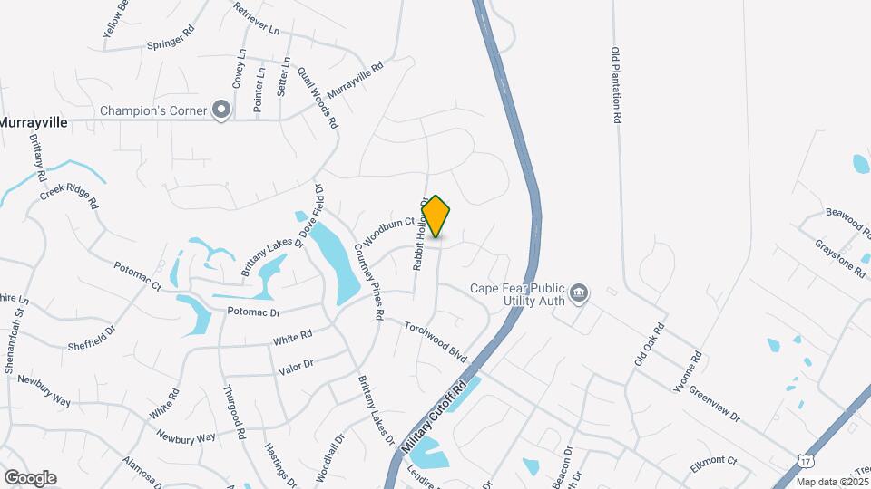 7236 Walking Horse Ct Mapa y Detalles de la Ubicación