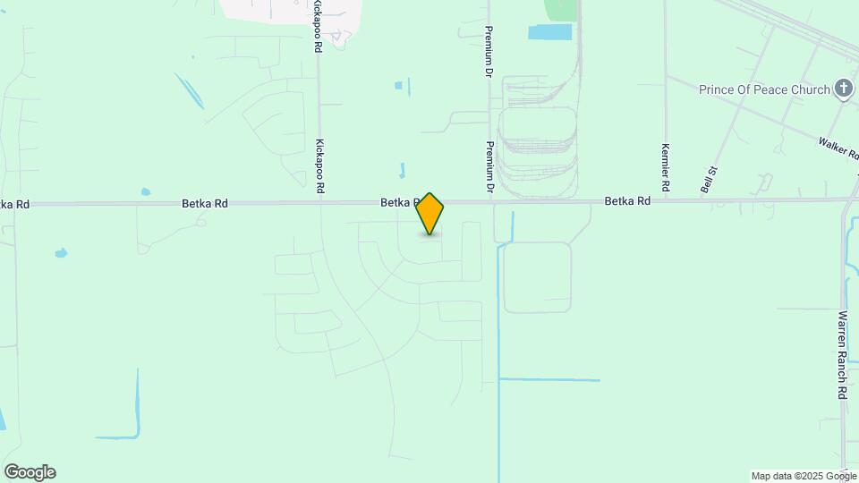 28718 Grand Mesquite Ln Map and Location Details