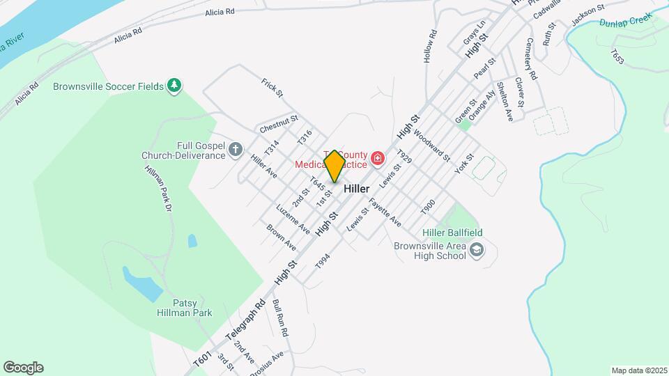 1009 1st St Map and Location Details