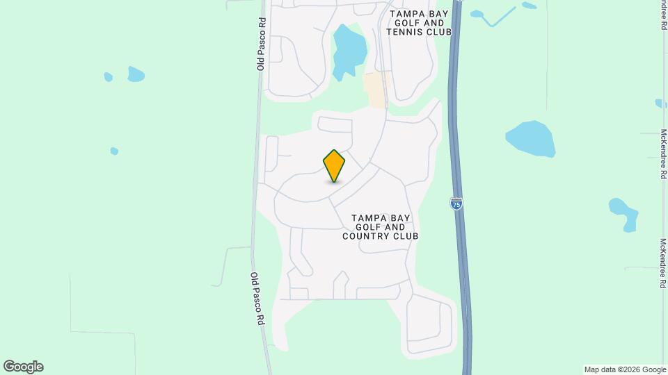 10225 Old Tampa Bay Dr Mapa y Detalles de la Ubicación