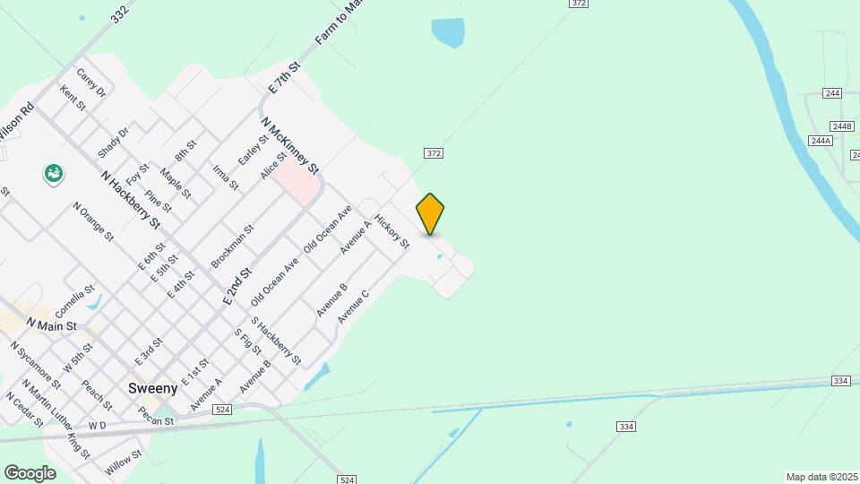 209 Silverleaf Rd Map and Location Details