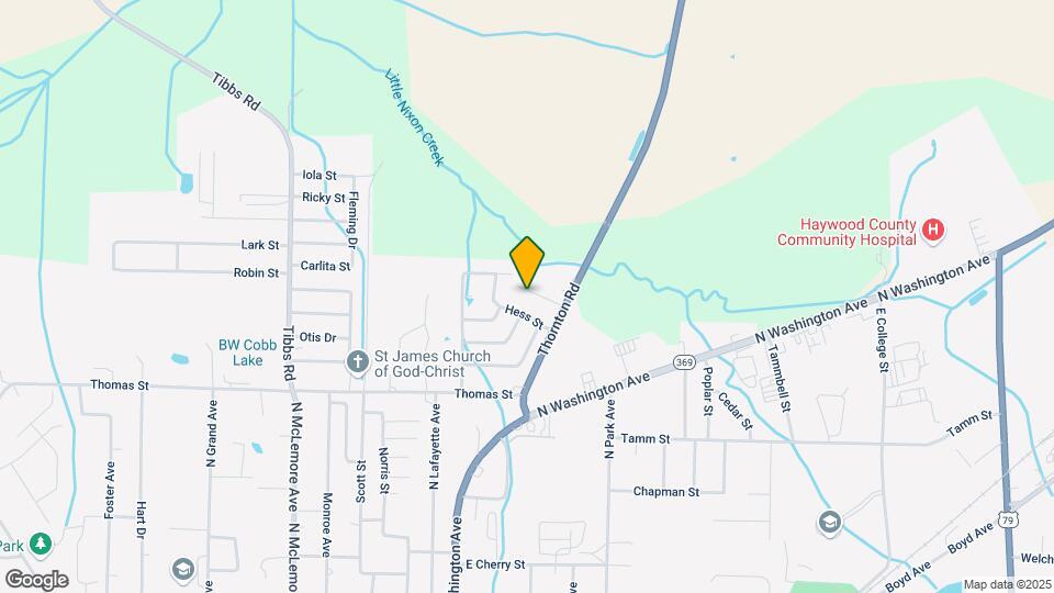 1217 Forrest Mann Cir Map and Location Details