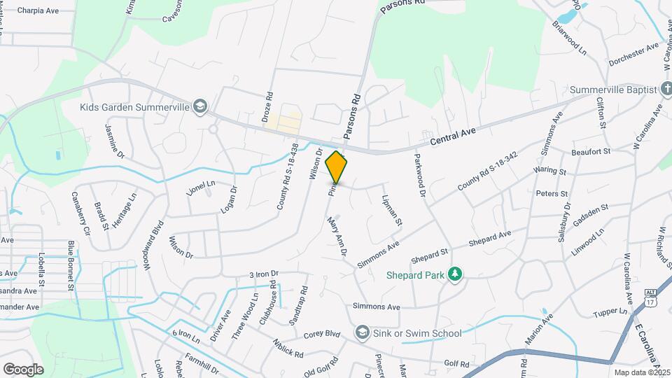 205 Pinewood Dr Map and Location Details