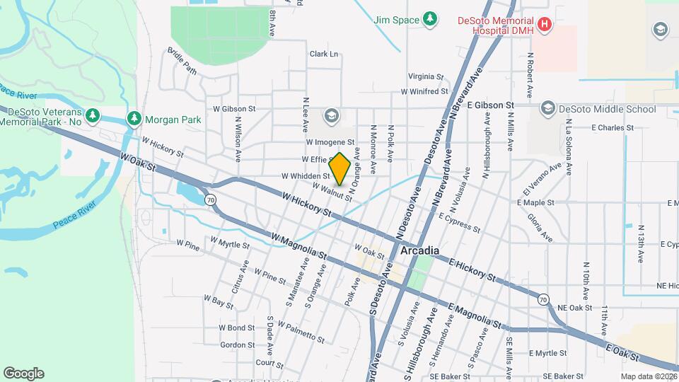 202 N Manatee Ave Mapa y Detalles de la Ubicación