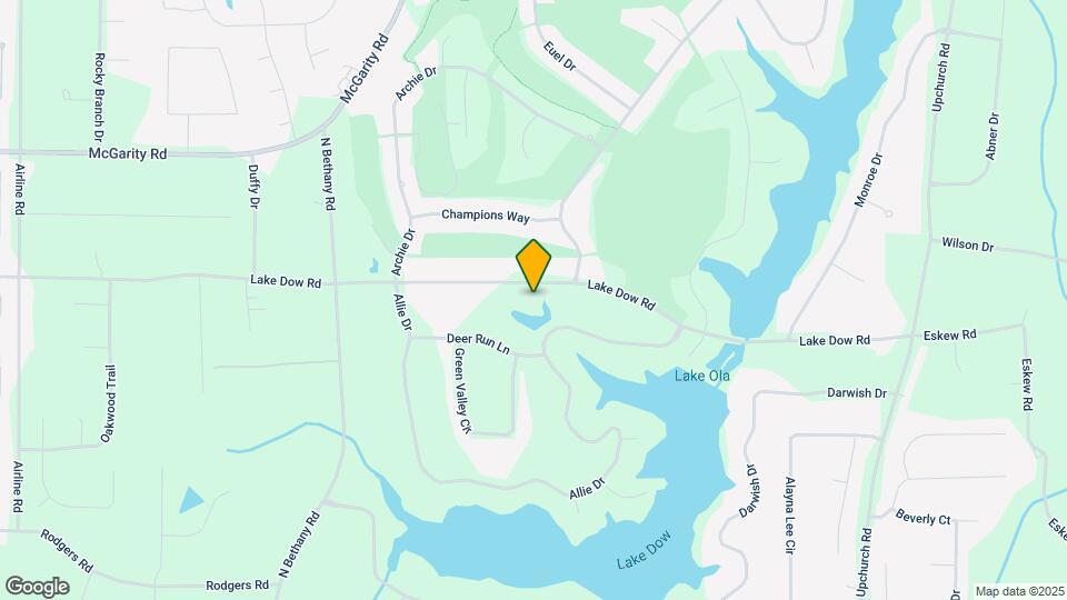 1590 Lake Dow Rd Mapa y Detalles de la Ubicación