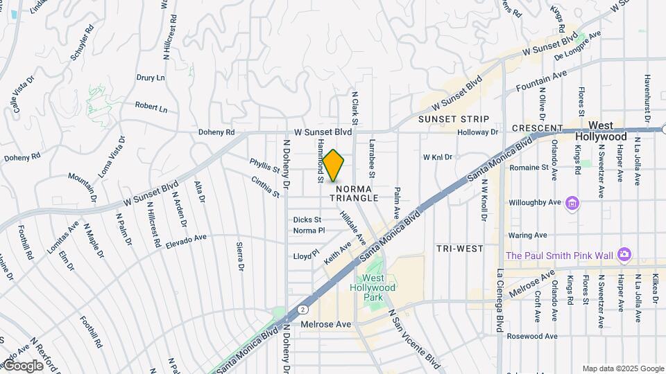 919 Hilldale Ave Map and Location Details