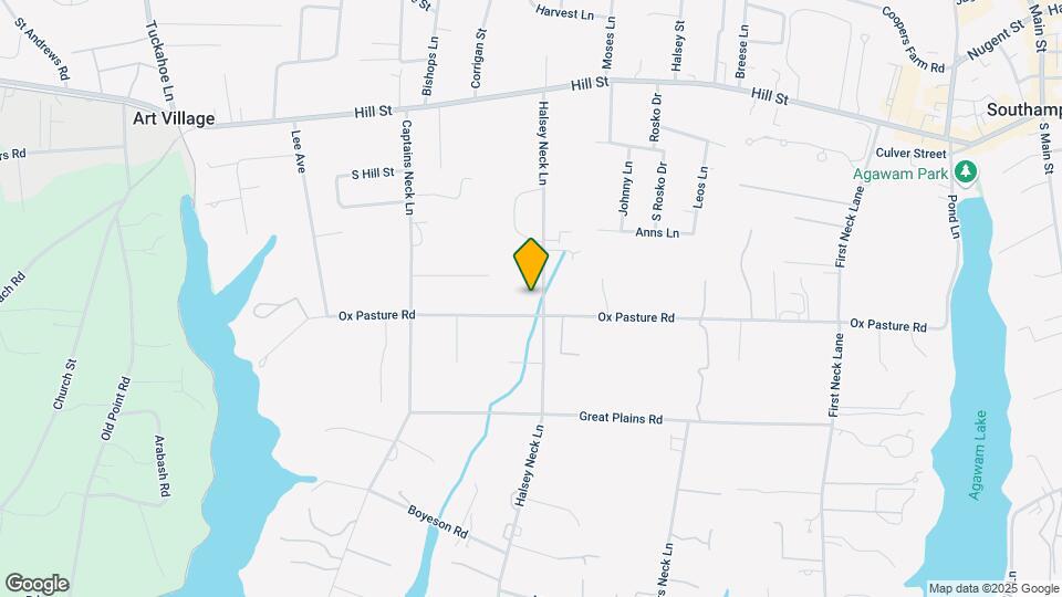 223 Halsey Neck Ln Map and Location Details