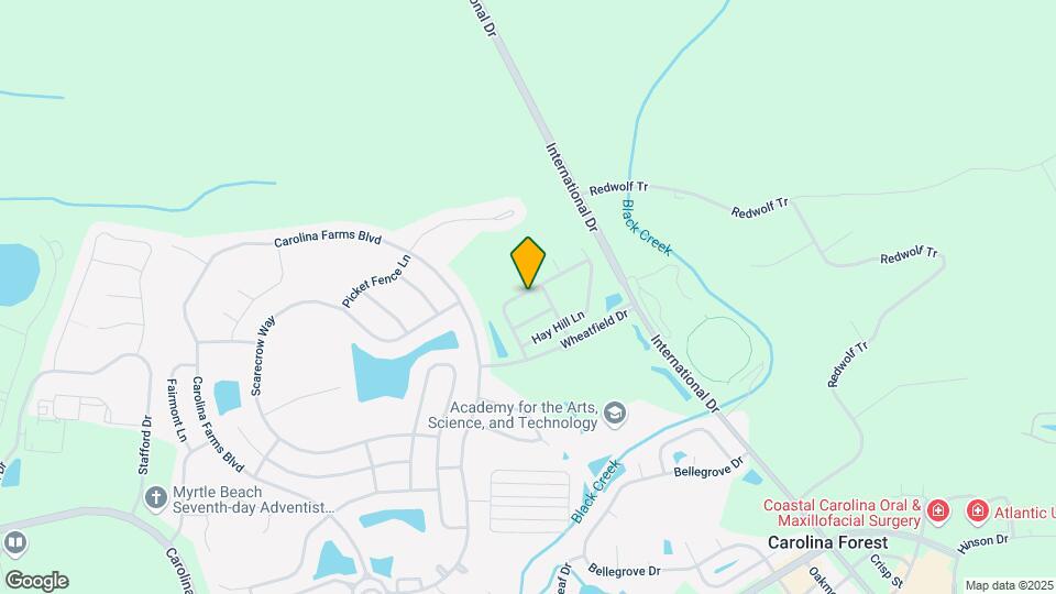 162 Mountain Ash Ln Mapa y Detalles de la Ubicación