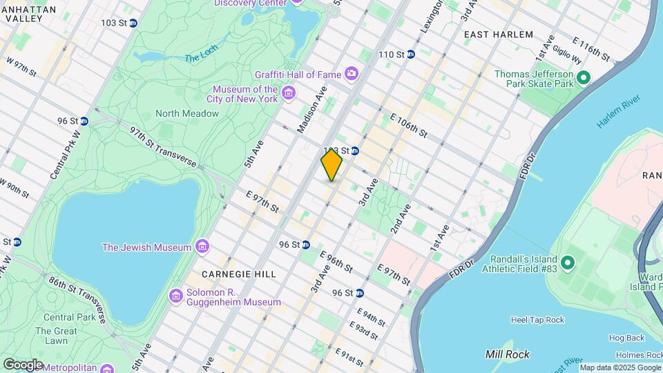 127 E 100th St Mapa y Detalles de la Ubicación