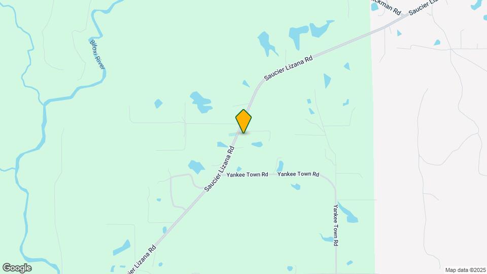 22530 Saucier Lizana Rd Map and Location Details