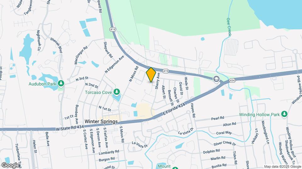 317 San Gabriel St Map and Location Details