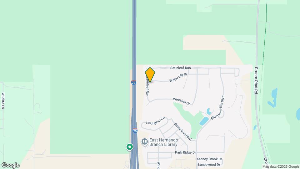 30598 Satinleaf Run Map and Location Details