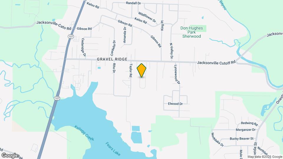246 Briarpatch Ln Map and Location Details