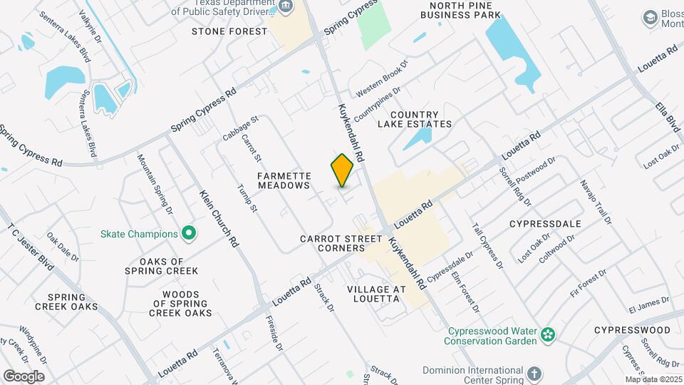 4938 Paradigm Ln Map and Location Details