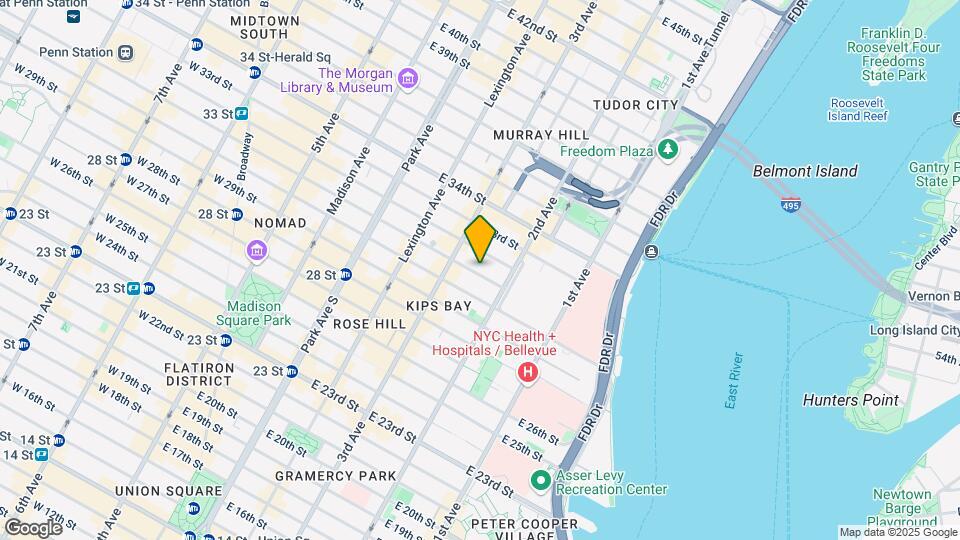 229 E 31st St Mapa y Detalles de la Ubicación