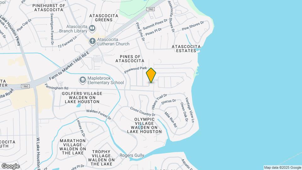 19306 Pinewood Bluff Ln Map and Location Details