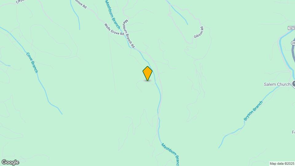 154 Mashburn Branch Cove Rd Map and Location Details