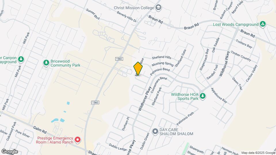 11039 Arabian Palm Mapa y Detalles de la Ubicación