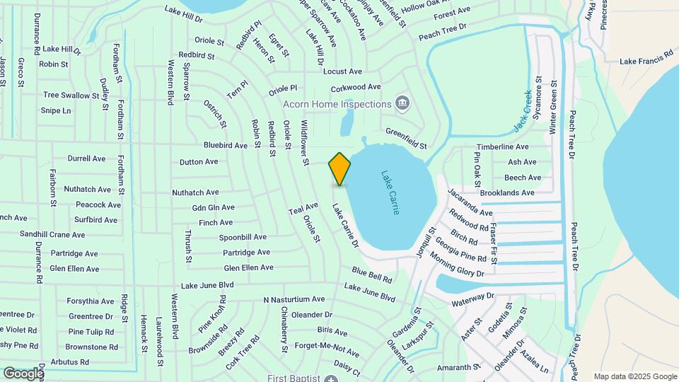 1028 Lake Carrie Dr Map and Location Details