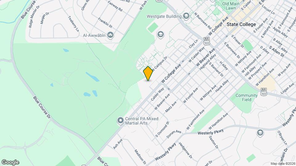 117 N Butz St Map and Location Details