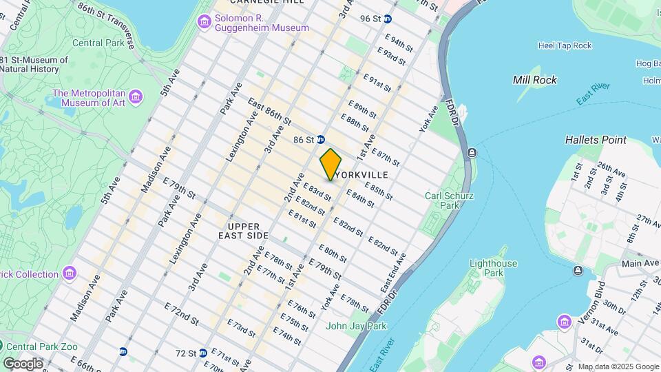 344 E 84th St Mapa y Detalles de la Ubicación