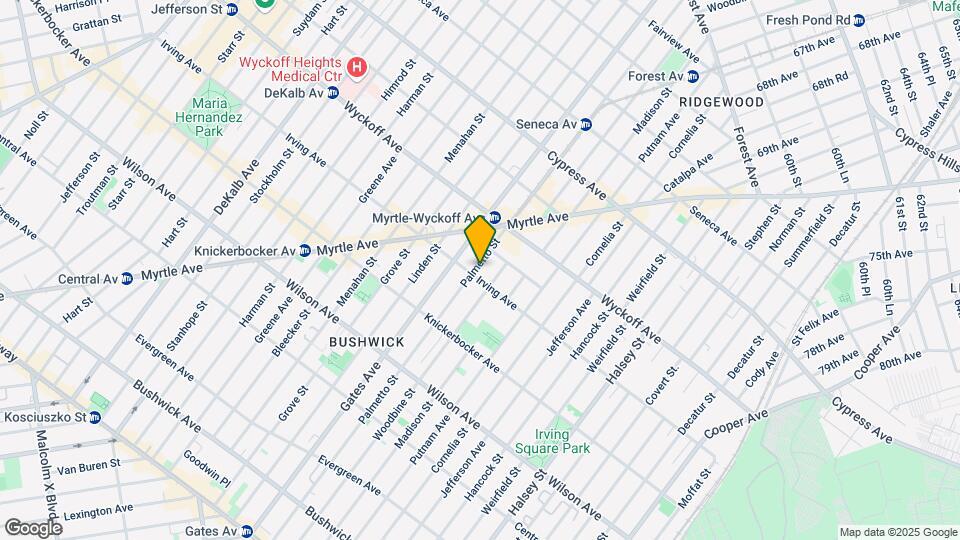 352 Palmetto St Mapa y Detalles de la Ubicación