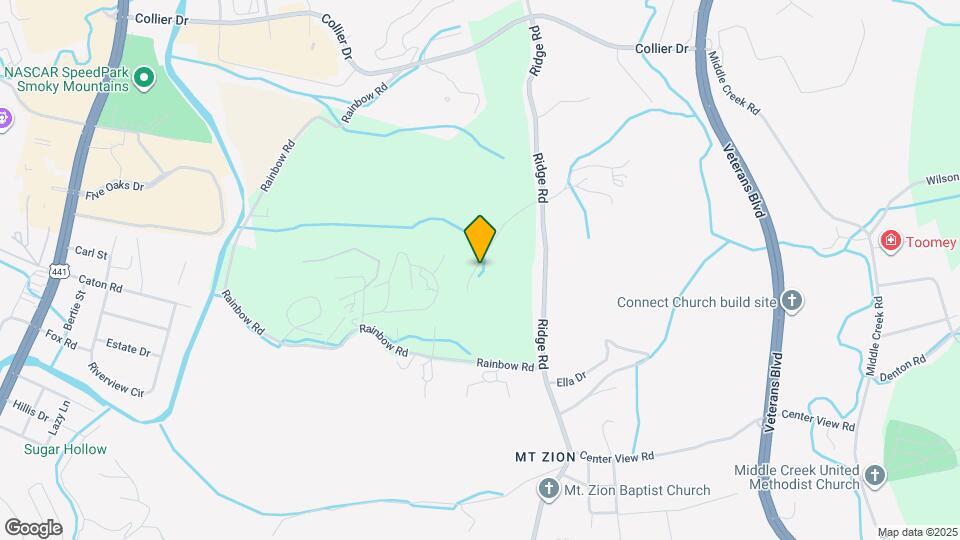 379 Carolines Wy Map and Location Details