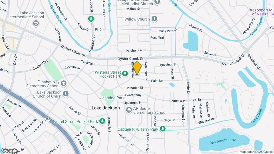107 Palm Ln Mapa y Detalles de la Ubicación