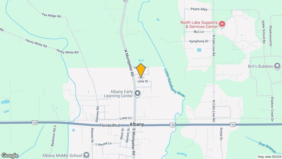 30121 Julia St Rentals in Albany, LA