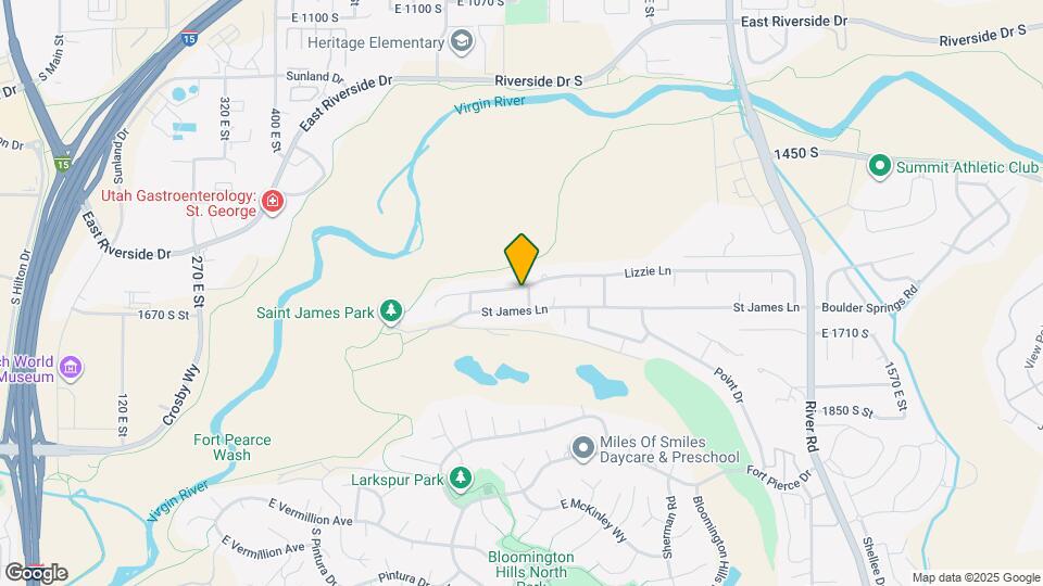 876 Lizzie Ln Map and Location Details