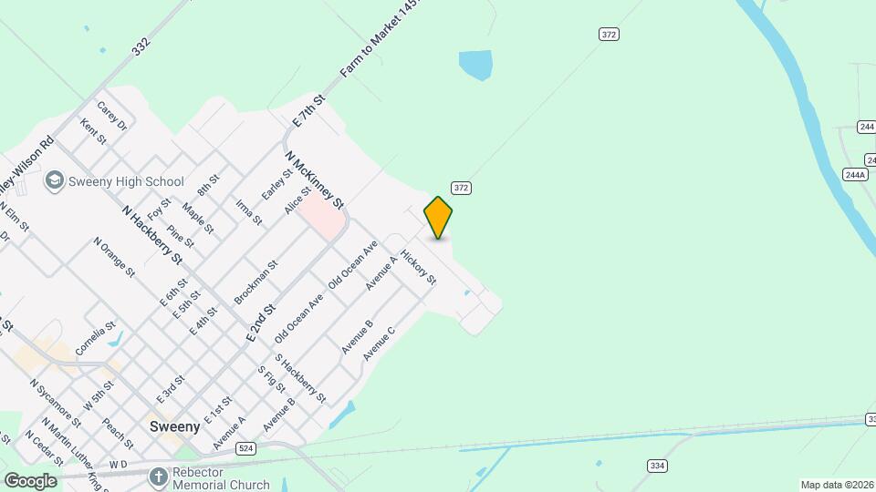 208 Silver Leaf St Map and Location Details