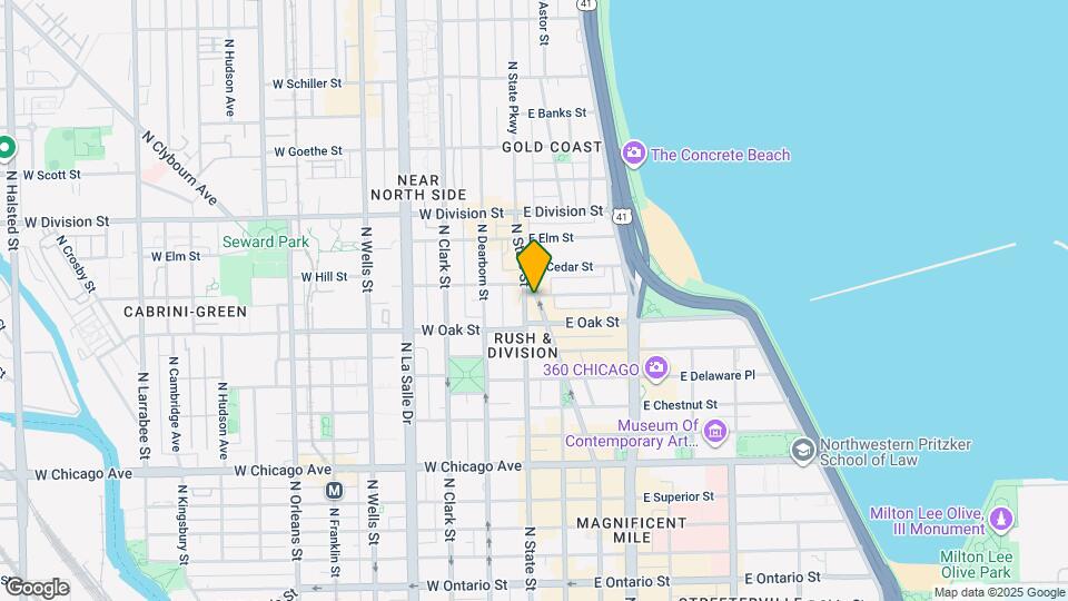 1028 N Rush St, Unit 2602 Map and Location Details