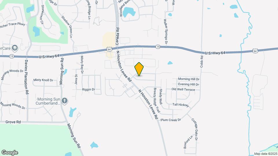 9996 Houston Birch Dr Mapa y Detalles de la Ubicación