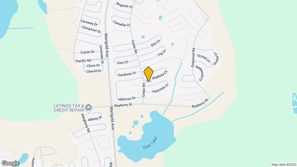 205 Hyacinth Ct Map and Location Details